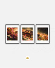 Midnight Bloom Drive