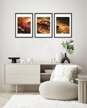 Midnight Bloom Drive