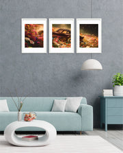 Midnight Bloom Drive