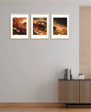 Midnight Bloom Drive