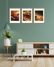 Midnight Bloom Drive