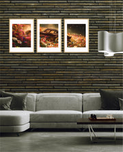 Midnight Bloom Drive