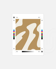 Sand Wave Flow