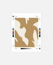 Earth Flow Pattern