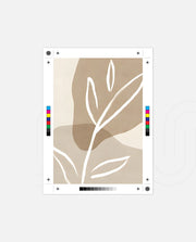Sand Line Botanica