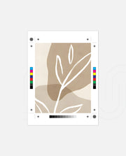 Sand Line Botanica