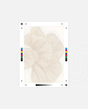 Ivory Petal Flow