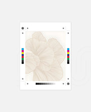 Ivory Petal Flow