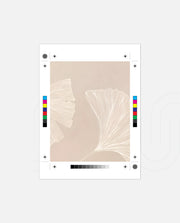 Ginkgo Whisper
