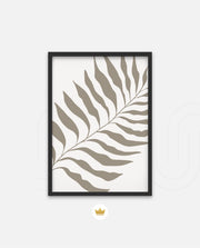 Sand Fern