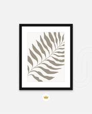 Sand Fern