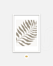 Sand Fern