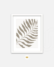 Sand Fern