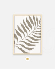 Sand Fern