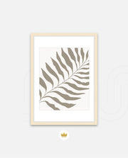 Sand Fern