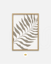 Sand Fern