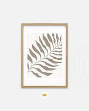 Sand Fern