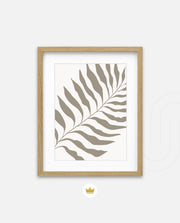 Sand Fern