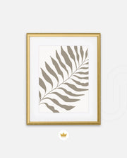Sand Fern