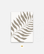 Sand Fern