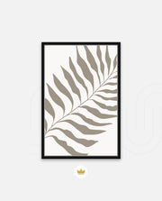Sand Fern