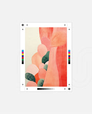 Coral Organic Forms