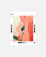 Coral Organic Forms