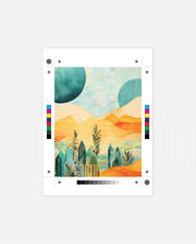 Abstract Desert Garden
