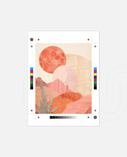 Blush Desert Sun