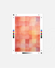 Coral Patch Grid