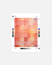 Coral Patch Grid
