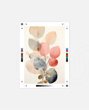 Translucent Botanical Forms