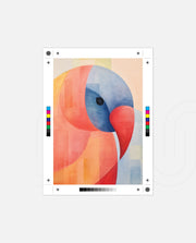 Geometric Tropical Bird