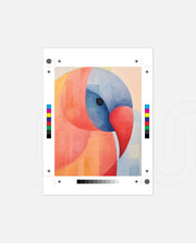 Geometric Tropical Bird