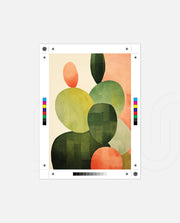 Modern Cactus Shapes