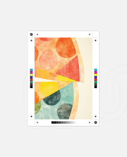 Abstract Citrus Slices