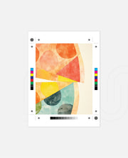Abstract Citrus Slices
