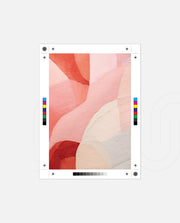 Blush Abstract Forms