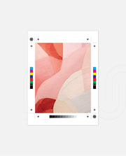 Blush Abstract Forms