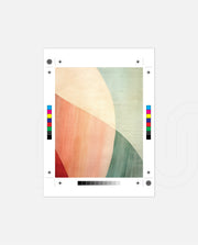 Earthy Curve Forms