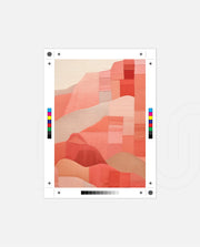 Coral Patchwork Landscape
