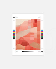 Coral Patchwork Landscape