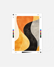 Bold Organic Contrast