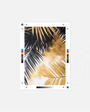 Luxe Tropical Gold