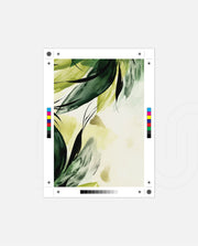 Tropical Green Flow