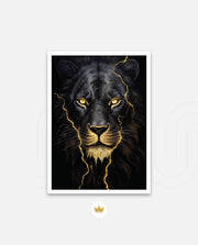 Black Lion