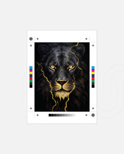 Black Lion