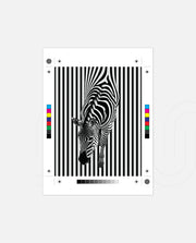 Stripes in Motion