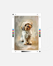 Artists Yorkie
