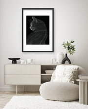 Linea Feline